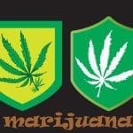 What You Must Know About Marijuana Vs Alcohol DUI Defense