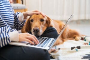What to Do When Your Pet Insurance Claim Is Denied
