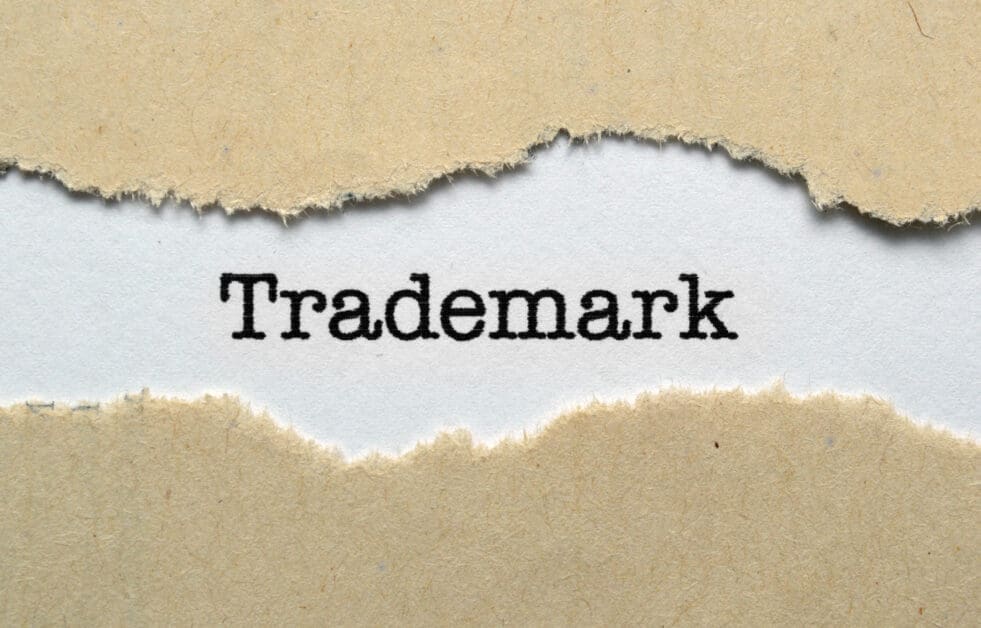 Trademark Availability Check: How to Run a Preliminary Search Before Filing Your Application