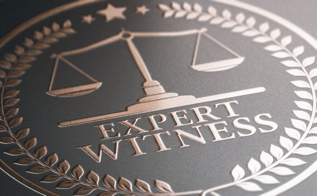 How Expert Witness Evidence Strengthens Immigration Court Cases