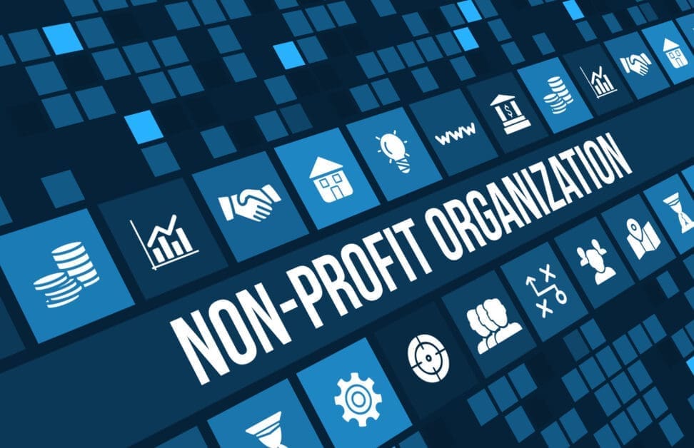 Banner Featuring a Grid of Blue Icons and the Bold Text 'non-profit Organization' Across the Center.