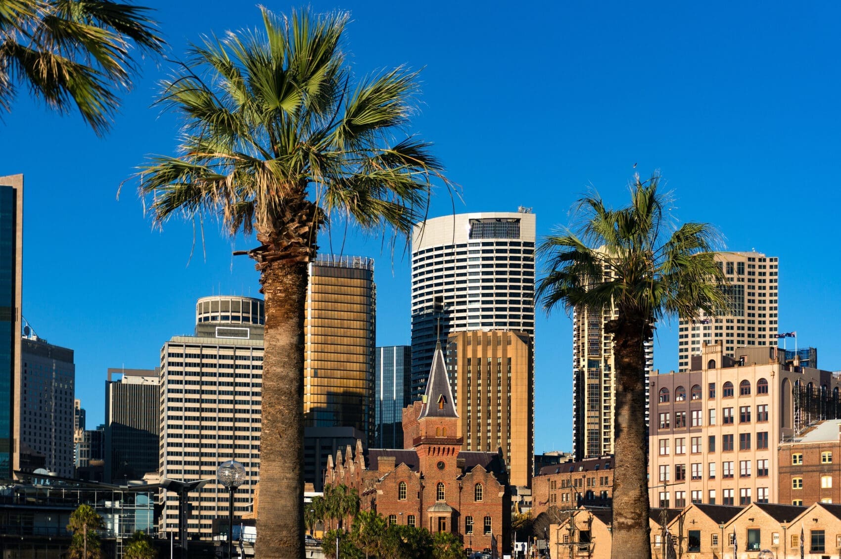 City Skyline with Tall Office Buildings and Two Palm Trees in the Foreground Under a Bright Blue Sky.